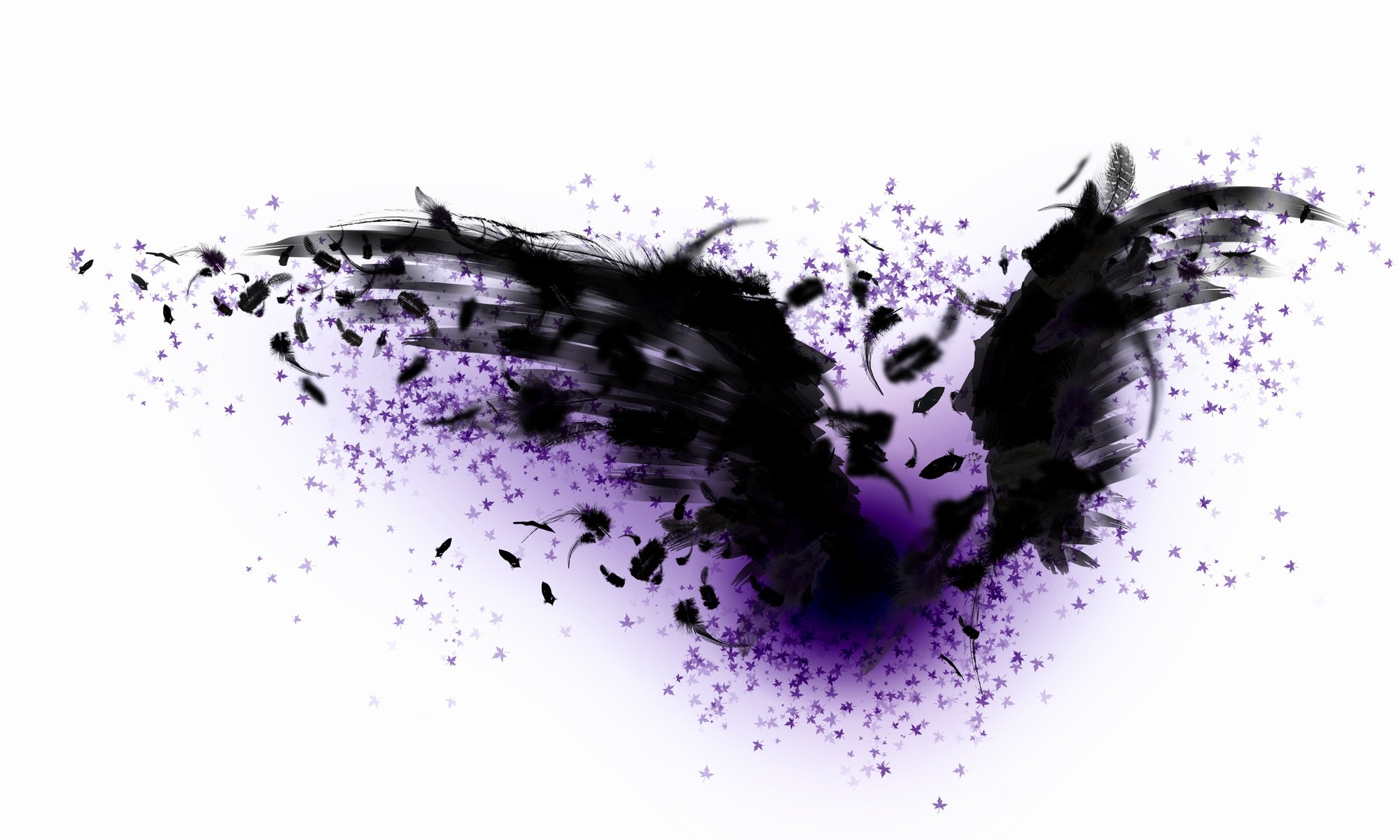 Black Wings with Purple Leaves on White Background